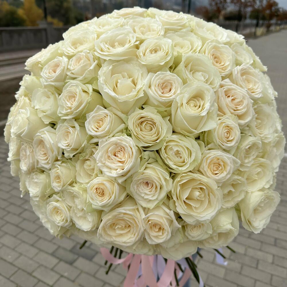Монобукет из 101 белой розы